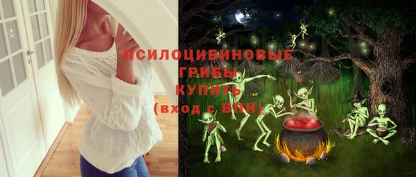 круглые Ладушкин