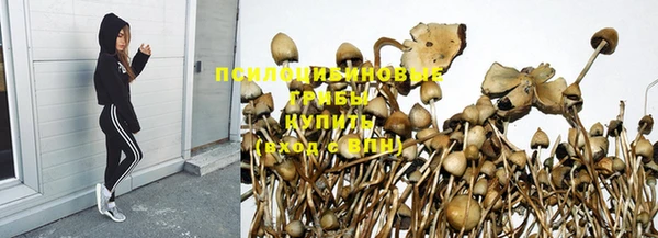 марки nbome Лабытнанги