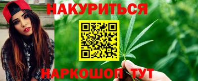 сатива Моздок